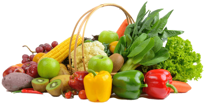 The Online Grocery Store